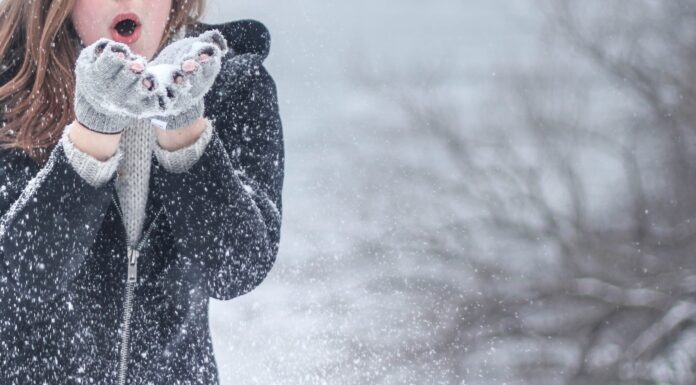 A City-Dweller’s Top 5 Winter Items Winter
